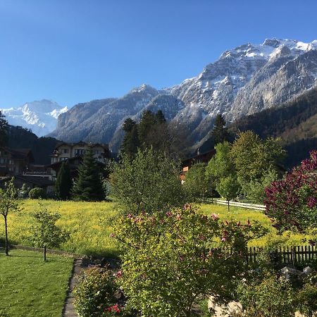 Holidayapartment Sydach Wilderswil Esterno foto