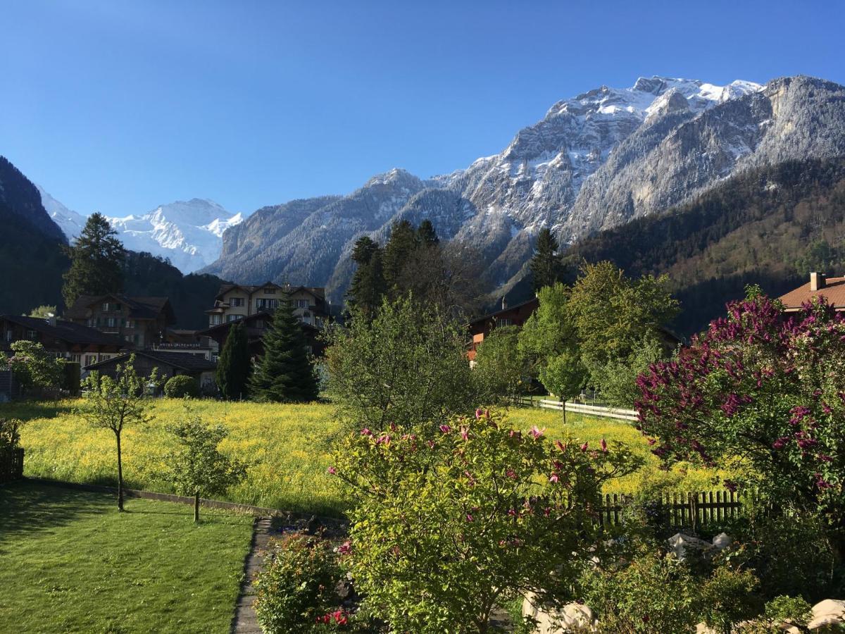 Holidayapartment Sydach Wilderswil Esterno foto